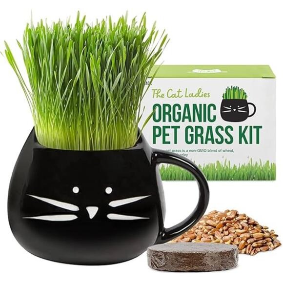 The Cat Ladies Organic Cat Grass for Indoor Cats - Growing Kit with Organic Seed - Picture 7 of 7